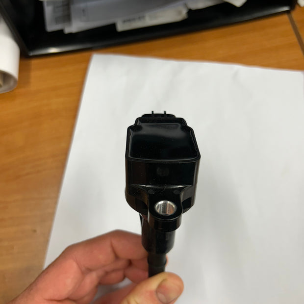 Ignition Coil (Camp Dog)