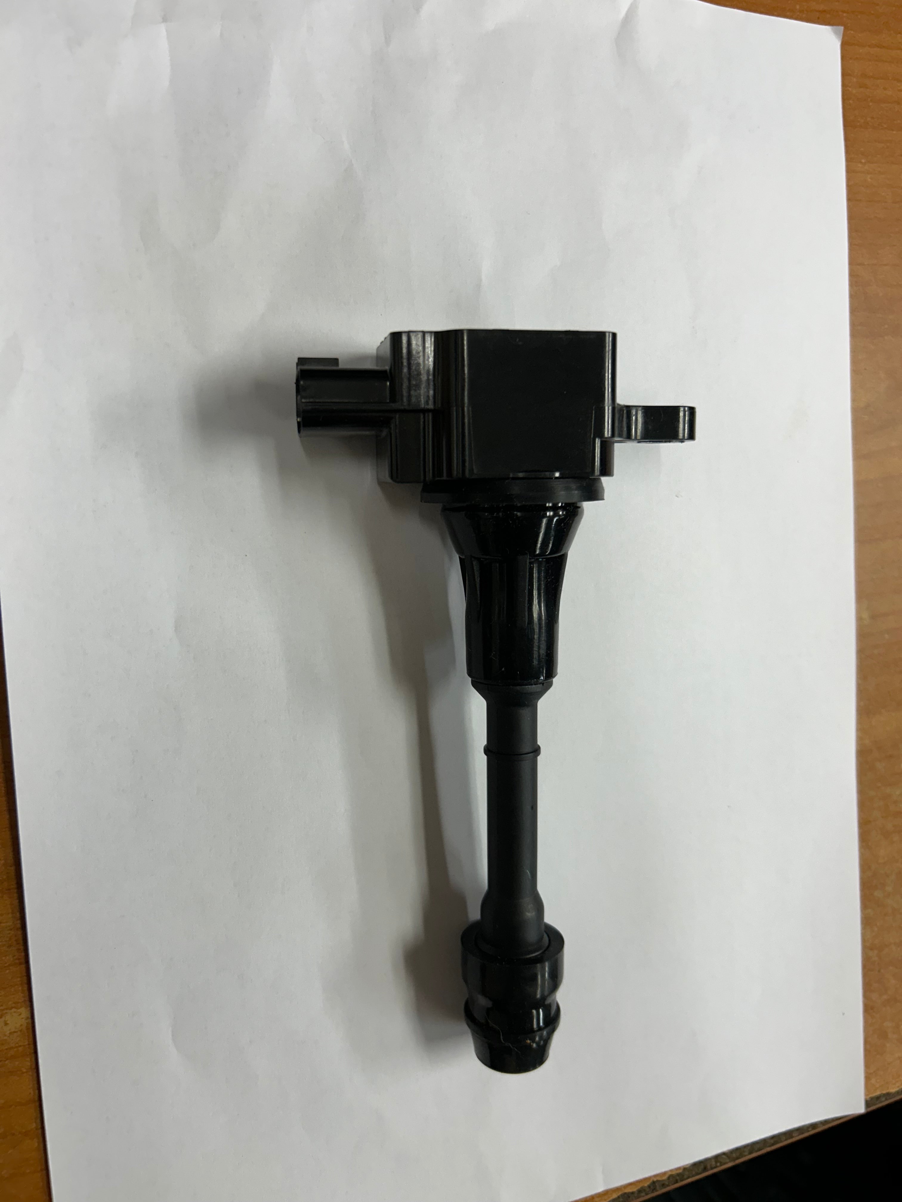 Ignition Coil (Camp Dog)