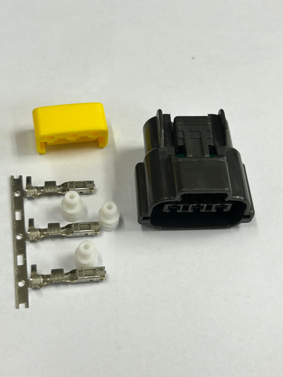 Ignition Coils - Plug & Pin Set (Camp Dog)